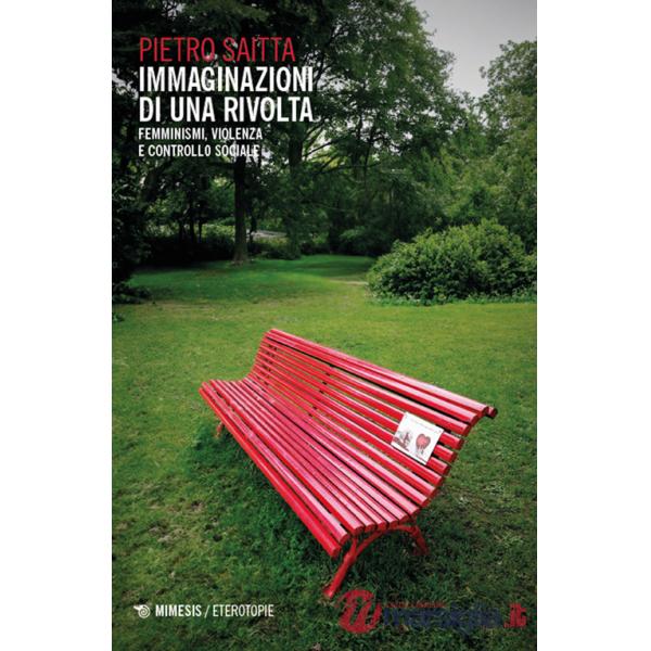Immaginazioni di una rivolta. Femminismi, violenza e controllo sociale