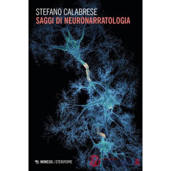 Saggi di neuronarratologia