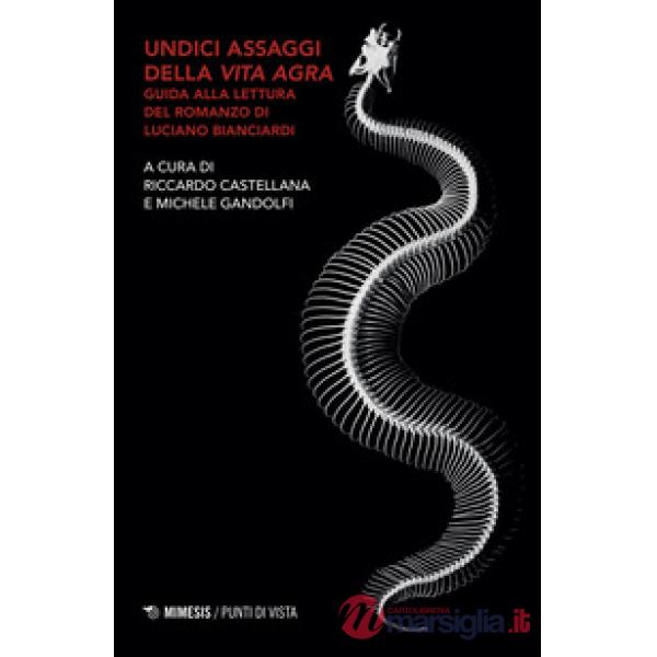 Undici assaggi della Vita agra. Guida alla lettura del romanzo di Luciano Bianciardi