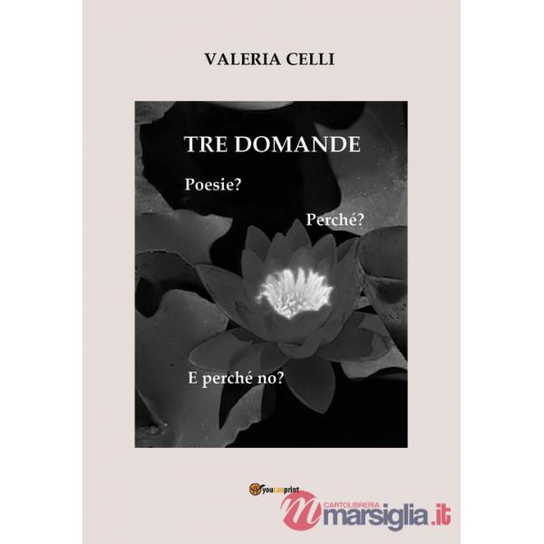 Tre domande. Poesie? Perché? E perché no?
