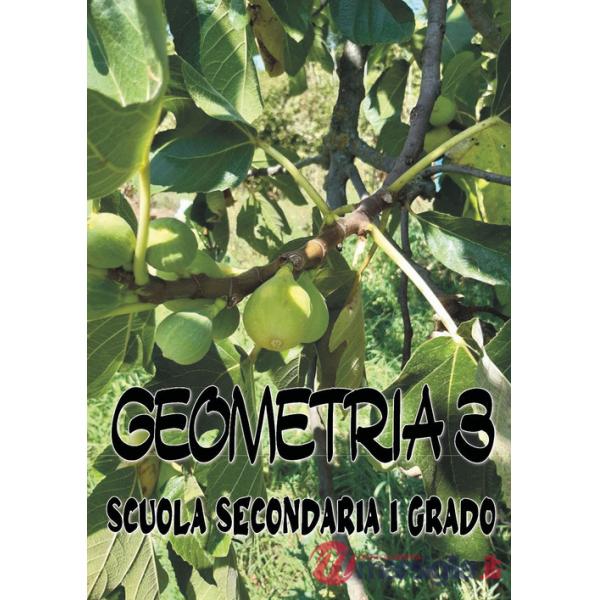 Geometria 3. Scuola secondaria di I grado