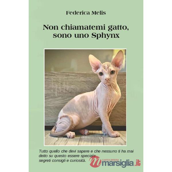 Non chiamatemi gatto, sono uno sphynx