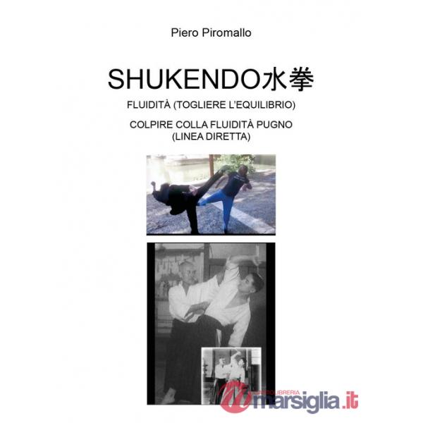 Shukendo. Fluidità (togliere l'equilibrio). Colpire colla fluidità pugno (linea diretta)