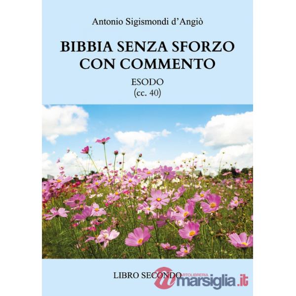 Bibbia senza sforzo con commento. Esodo (cc. 40). Vol. 2