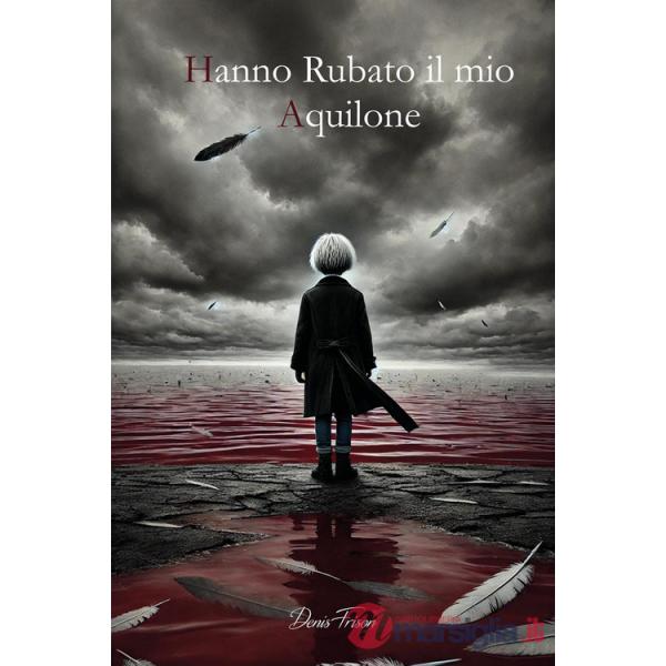 Hanno rubato il mio aquilone