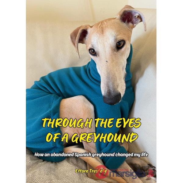 Through the eyes of a greyhound. How an abandoned spanish grayhound changed my life