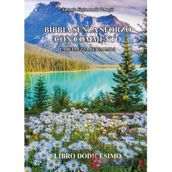 Bibbia senza sforzo con commento. La bellezza dei salmi. Vol. 1