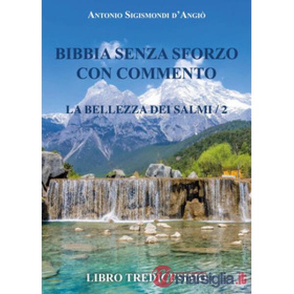 Bibbia senza sforzo con commento. La bellezza dei salmi. Vol. 2