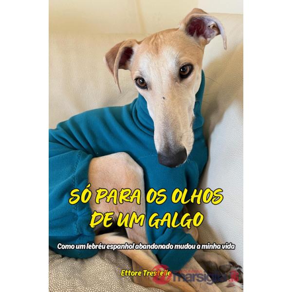 Só para os olhos de um galgo. Como um lebréu espanhol abandonado mudou a minha vida