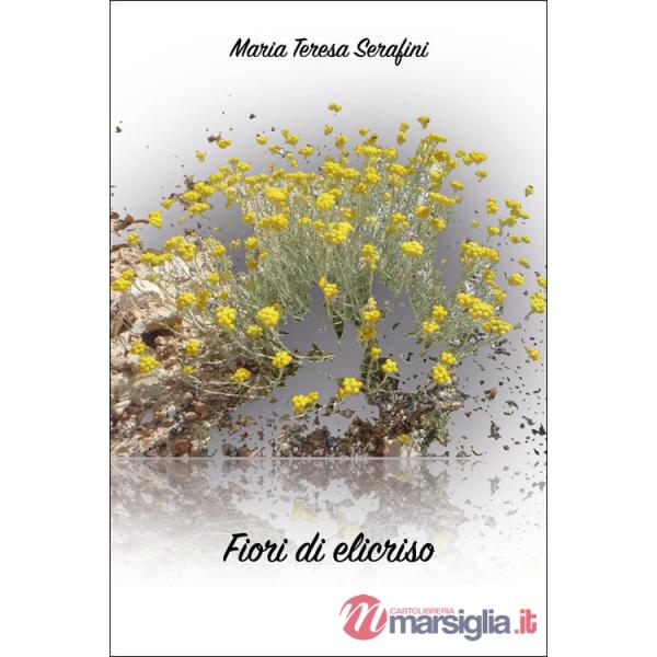 Fiori di elicriso