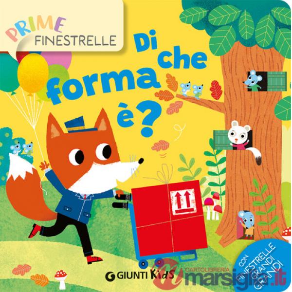 Di che forma è? Ediz. a colori