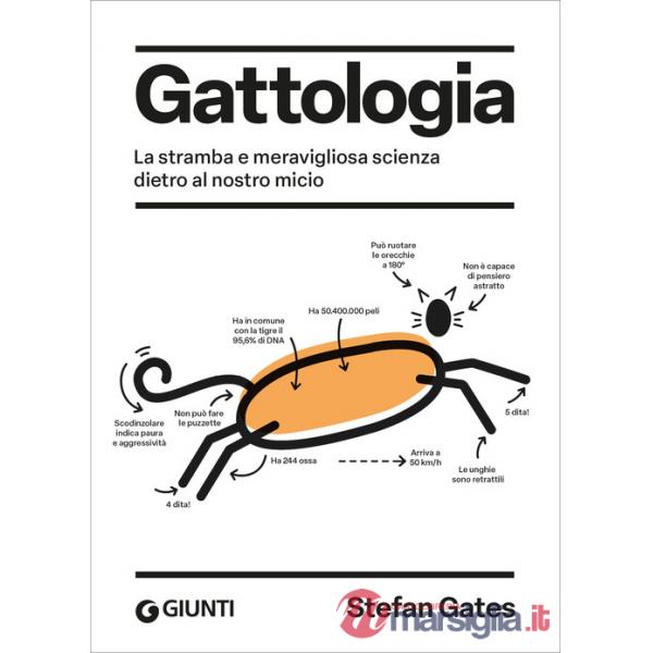 Gattologia. La stramba e meravigliosa scienza dietro al nostro micio
