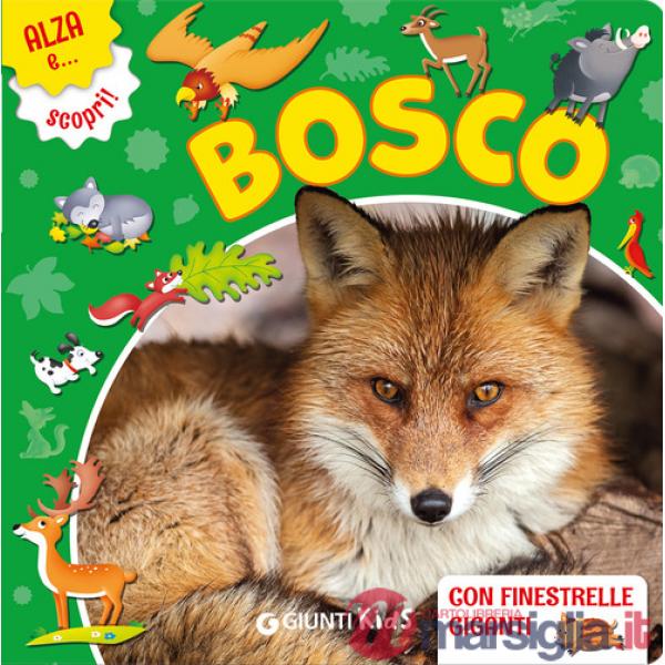 Bosco. Ediz. a colori (Il)