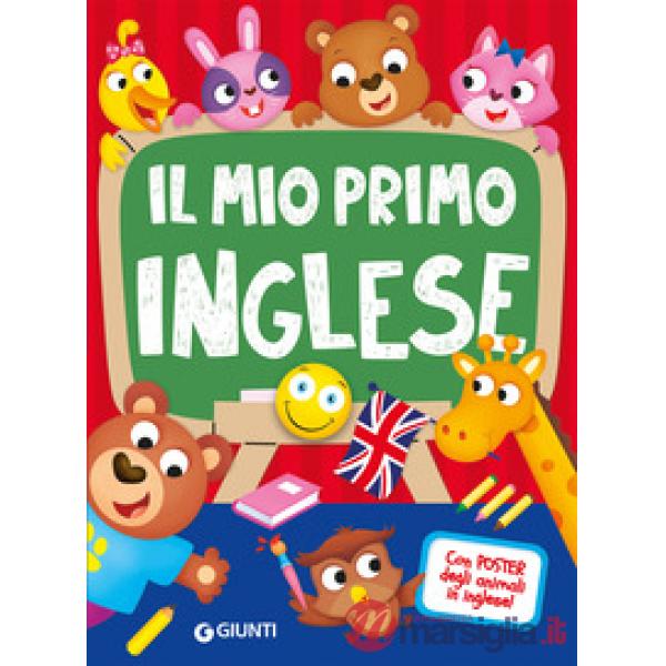 Mio primo inglese (Il)