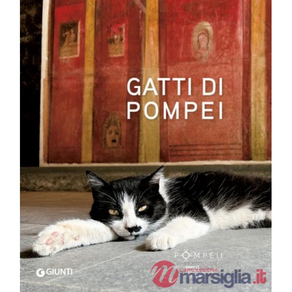 Gatti di Pompei. Ediz. illustrata