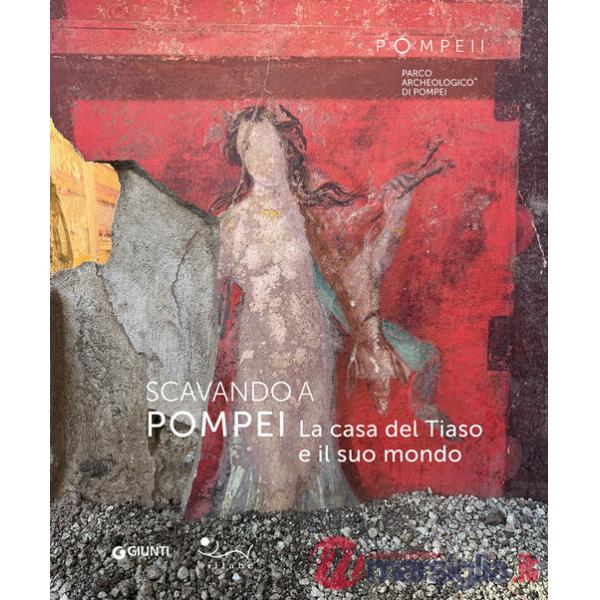 Scavando a Pompei. La casa del Tiaso e il suo mondo