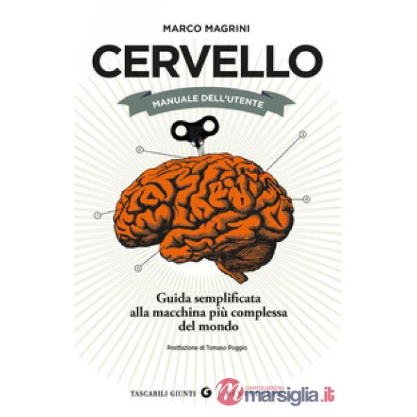 Cervello. Manuale dell'utente. Guida semplificata alla macchina più complessa del mondo