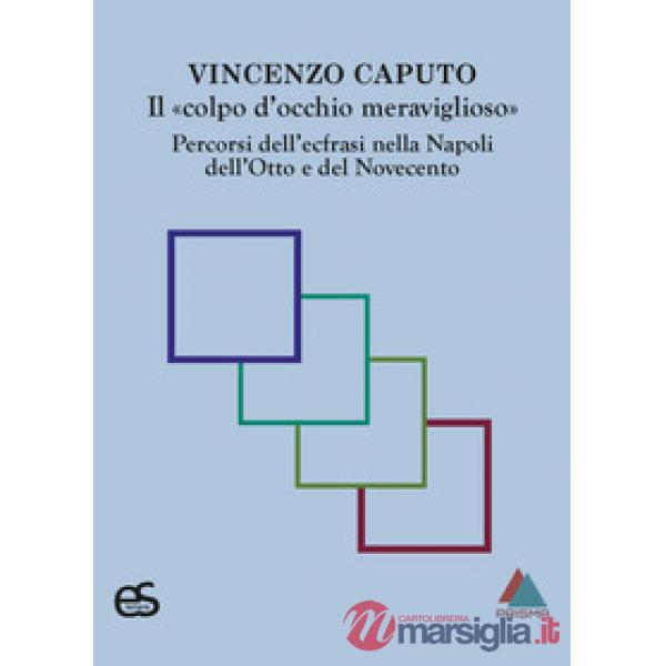 Il «colpo d'occhio meraviglioso». Percorsi dell'ecfrasi nella Napoli dell'Otto e del Novecento