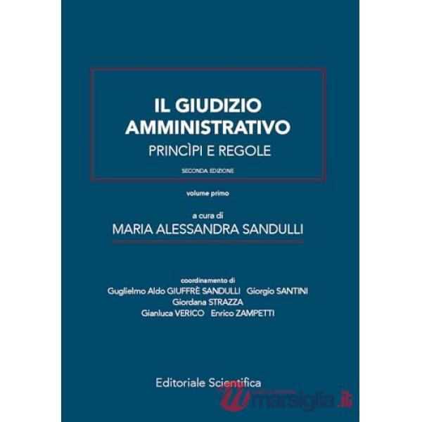 Il giudizio amministrativo