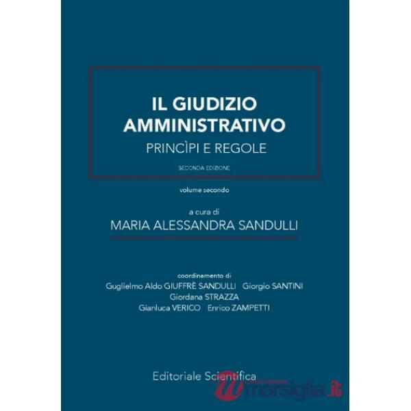 Il giudizio amministrativo