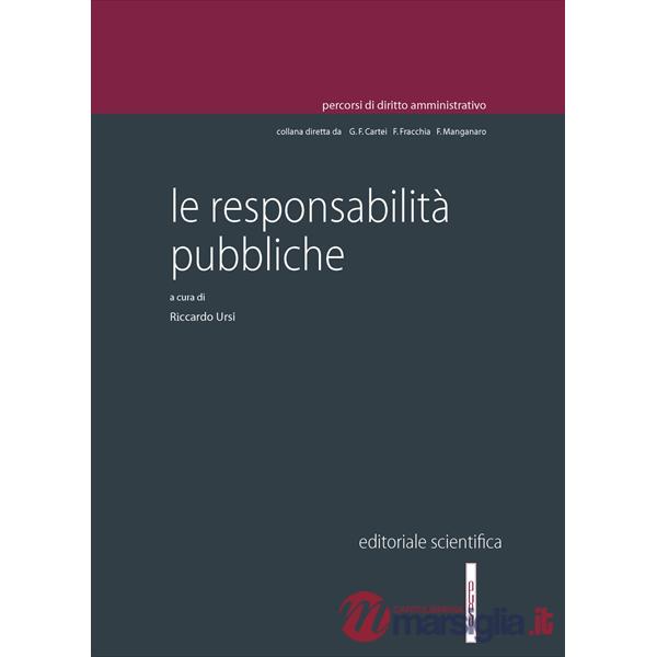 Le responsabilità pubbliche