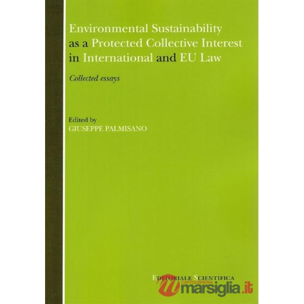 Environmental sustainability as a protected collective interest in international and EU law
