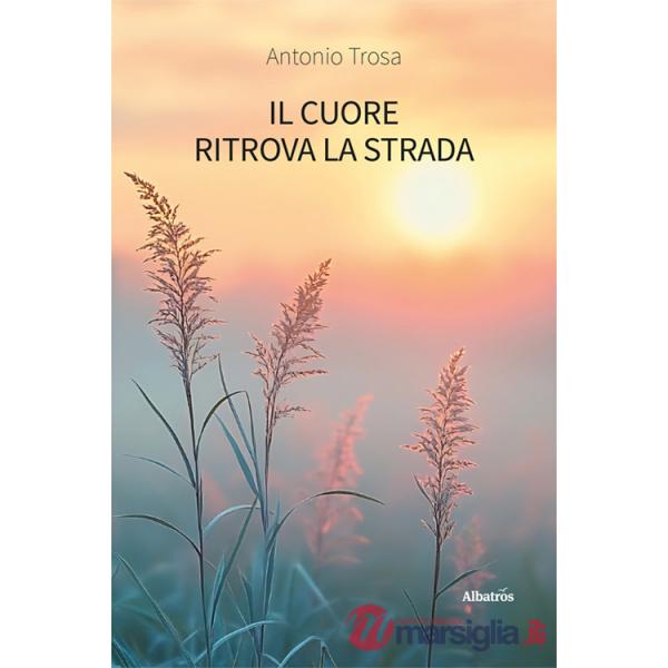 Cuore ritrova la strada (Il)