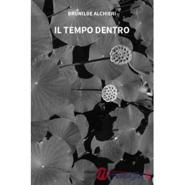 Tempo dentro (Il)