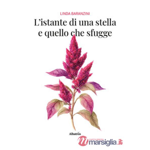 Istante di una stella e quello che sfugge (L')