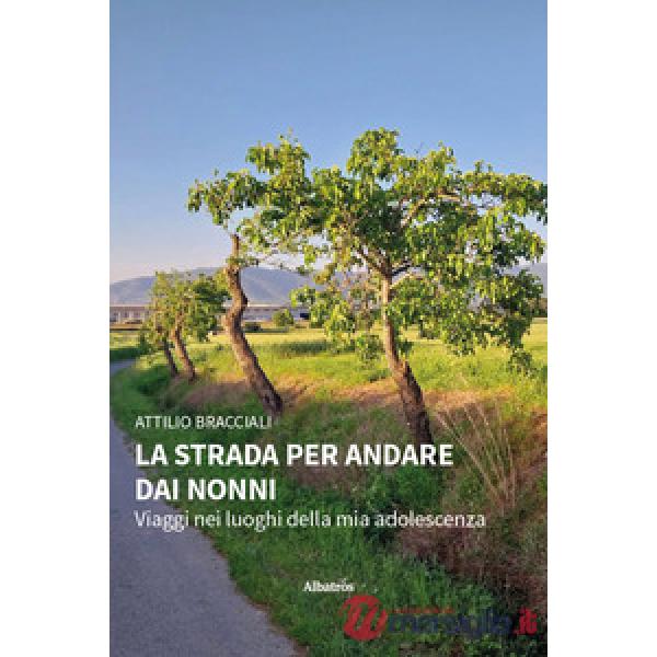Strada per andare dai nonni. Viaggi nei luoghi della mia adolescenza (La)