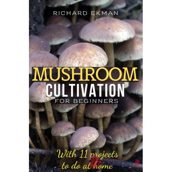 Mushroom Cultivation For Beginners