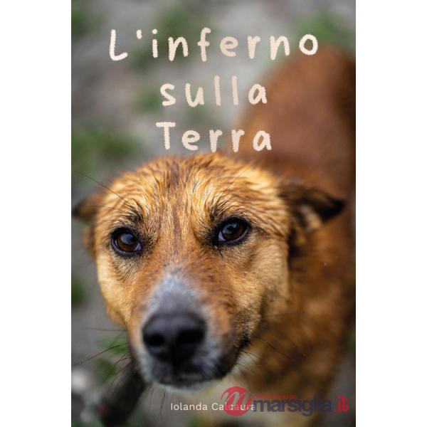 Inferno sulla terra (L')