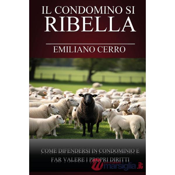 Condomino si ribella. Come difendersi in condominio e far valere i propri diritti (Il)