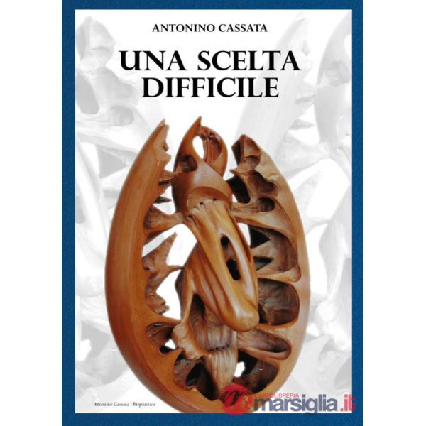 Scelta difficile (Una)