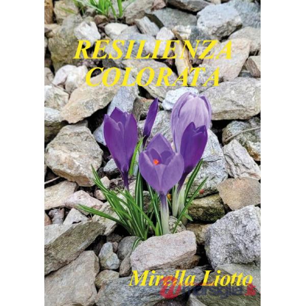 Resilienza colorata