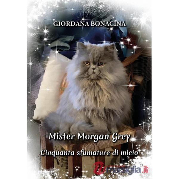 Mister Morgan Grey: cinquanta sfumature di micio
