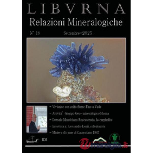 Relazioni mineralogiche. Libvrna. Vol. 18