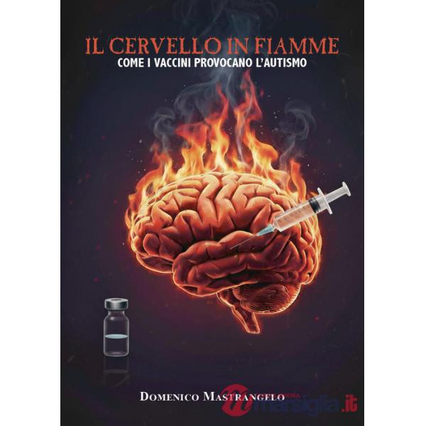 Cervello in fiamme: come i vaccini provocano l'autismo (Il)