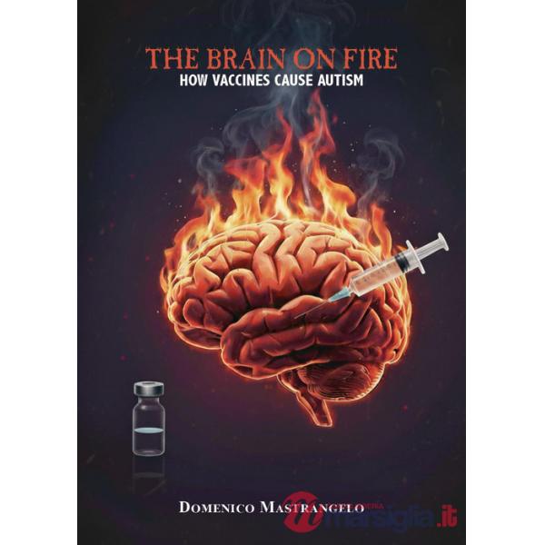 Brain on fire: how vaccines cause autism (The)