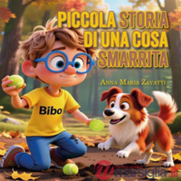 Piccola storia di una cosa smarrita