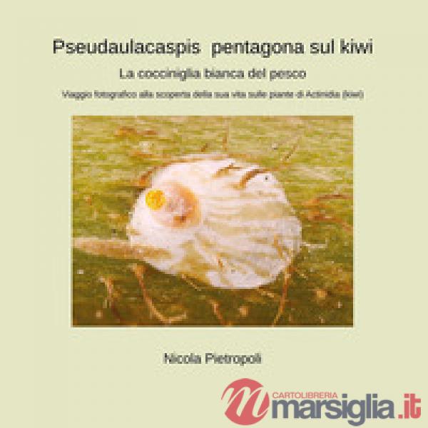 Pseudaulacaspis pentagona sul kiwi. La cocciniglia bianca del pesco. Viaggio fotografico alla scoperta della sua vita sulle pian