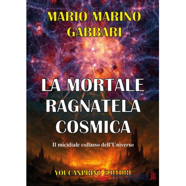 Mortale ragnatela cosmica. Il micidiale collasso dell'universo (La)