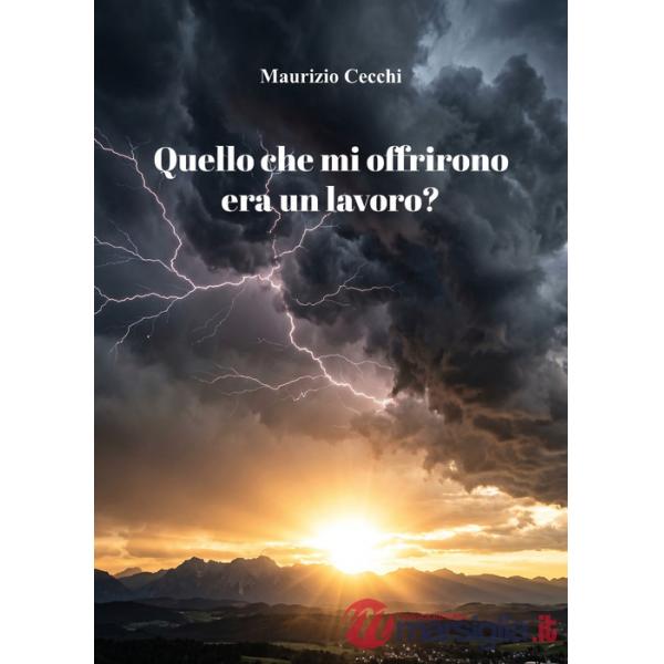 Quello che mi offrirono era un lavoro?