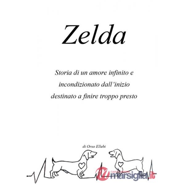 Zelda. Storia di un amore infinito e incondizionato dall'inizio destinato a finire troppo presto