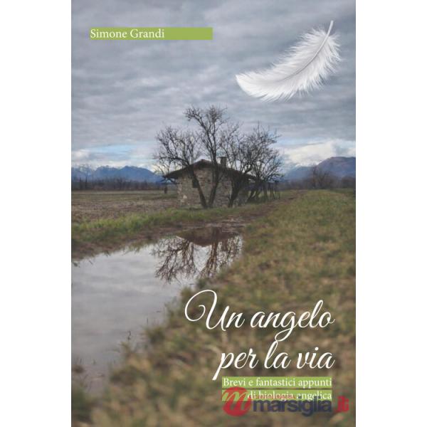 Angelo per la via. Brevi e fantastici appunti di biologia angelica (Un)
