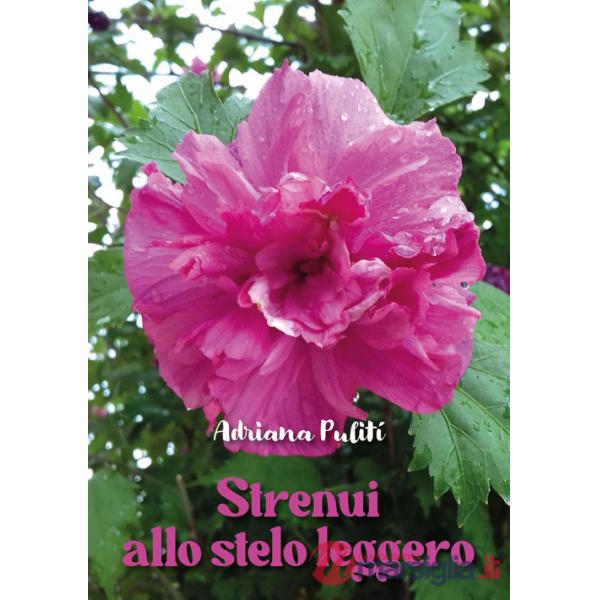 Strenui allo stelo leggero