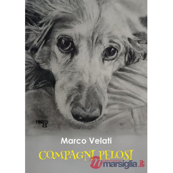 Compagni pelosi