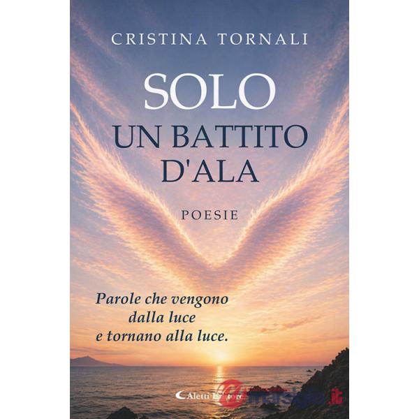 Solo un battito d'ala
