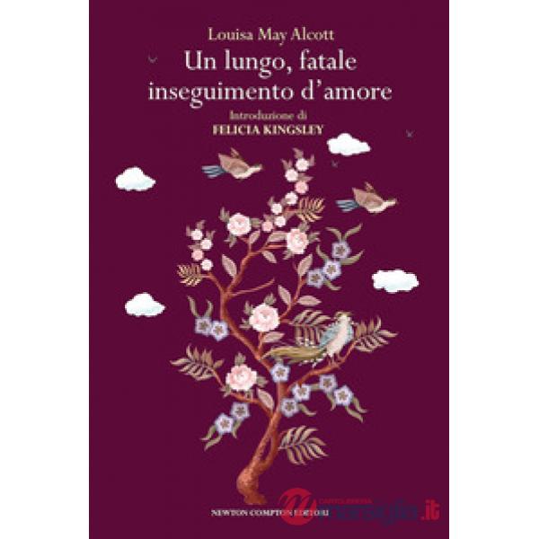 Lungo, fatale inseguimento d'amore (Un)