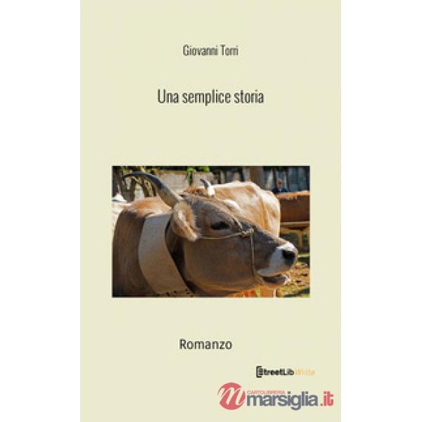 Una semplice storia